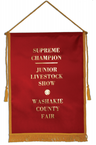 #1009-G - 12 x 18" Ribbon Banner with Gold Braid and Fringe