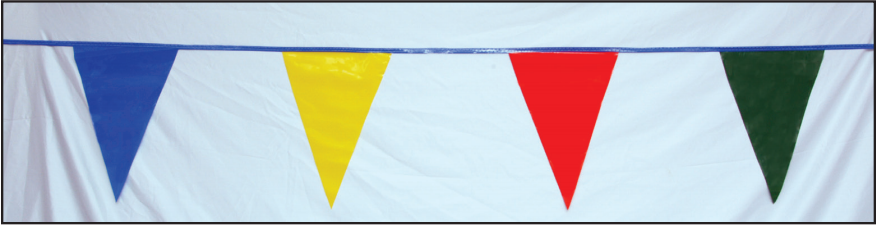 #96 - Standard Plastic Pennants