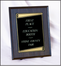 PL48 - 9" x 12" Plaque