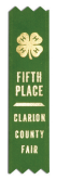 #814 - 1” x 4” Ribbon